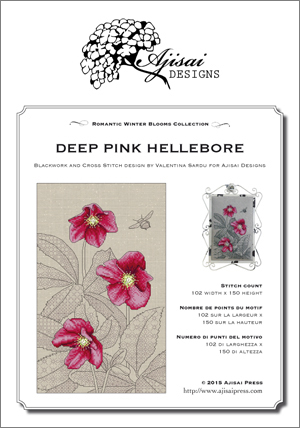 Deep Pink Hellebore