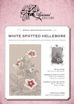 Cross Stitch and Blackwork Design: White Spotted Hellebore